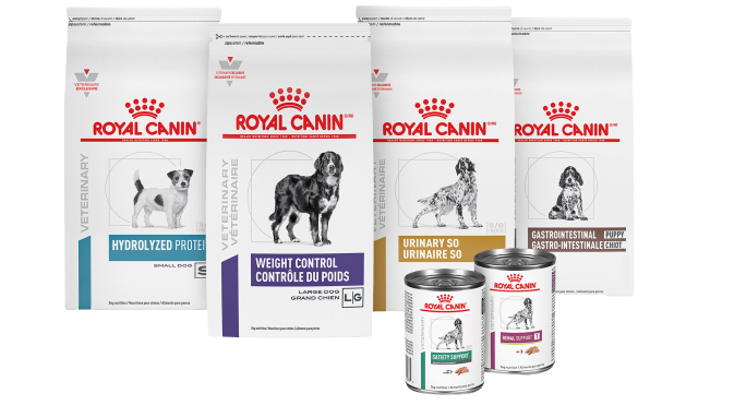 Dog supplies available through the New Britain Veterinary Clinic online shop